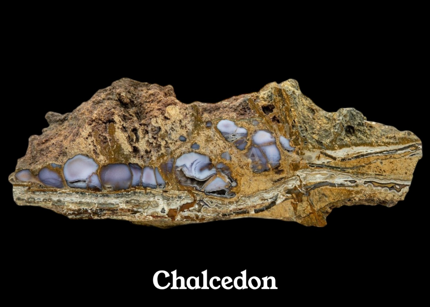 Chalcedon